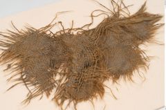 Foto von Textil (NHMW-PRAE-125686)